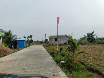 Agricultural/Farm Land for Sale in Cheyyur, Chengalpattu (50 Cent)