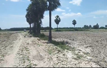 Agricultural/Farm Land for Sale in Acharapakkam, Chengalpattu (10 Acre)