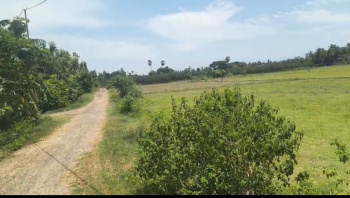 Agricultural/Farm Land for Sale in Acharapakkam, Chengalpattu (4 Acre)