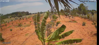 Residential Plot for Sale in Cheyyur, Chengalpattu (1 Acre)