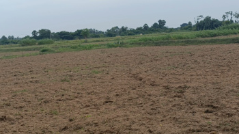 Agricultural/Farm Land for Sale in Acharapakkam, Chengalpattu (2.50 Acre)
