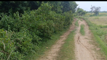 Property for sale in Pulipakkam, Chengalpattu