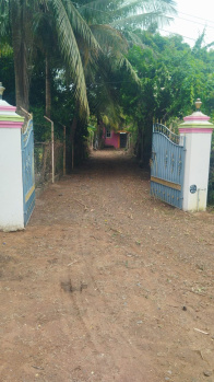 Farm House for Sale in Cheyyur, Chengalpattu (59 Cent)