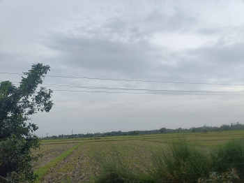 Agricultural/Farm Land for Sale in Cheyyur, Chengalpattu (3 Acre)