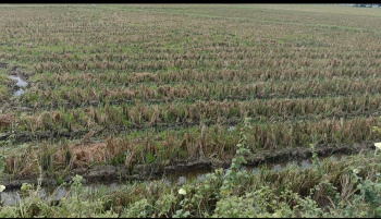 Property for sale in Pulipakkam, Chengalpattu