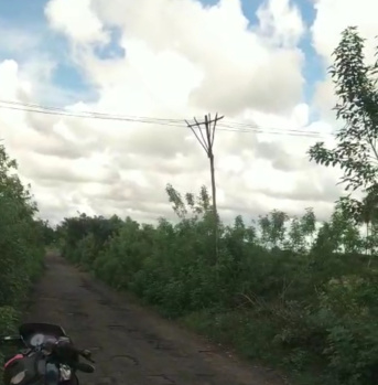 Agricultural/Farm Land for Sale in Cheyyur, Chengalpattu (3 Acre)