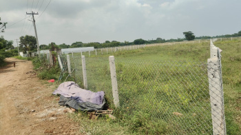 15600 Sq.ft. Agricultural/Farm Land for Sale in Alapakkam, Chengalpattu