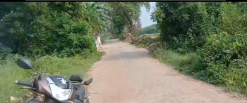 Agricultural/Farm Land for Sale in Cheyyur, Chengalpattu (11 Acre)