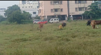 Residential Plot for Sale in Maraimalai Nagar, Kanchipuram (1 Acre)