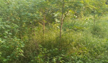 Property for sale in Akkarai, Chennai