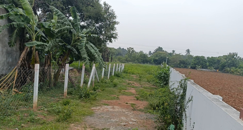 Agricultural/Farm Land for Sale in Cheyyur, Chengalpattu (50 Cent)