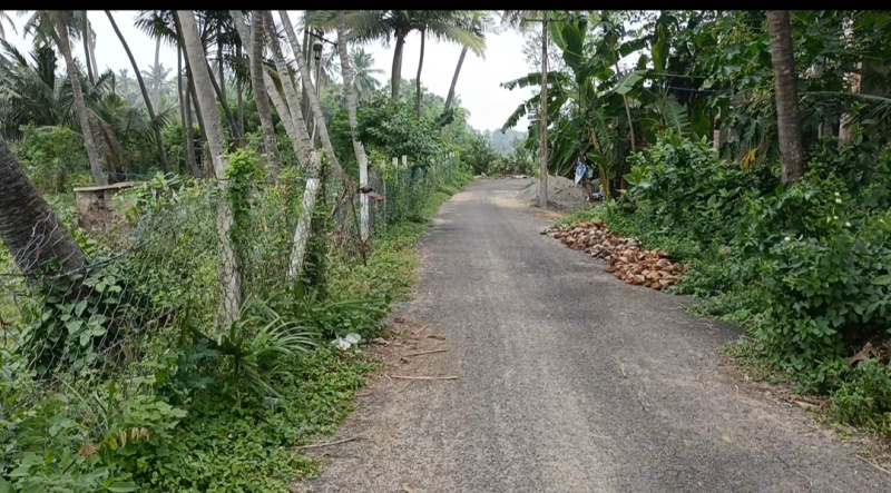 Agricultural/Farm Land for Sale in Cheyyur, Chengalpattu (23 Cent)