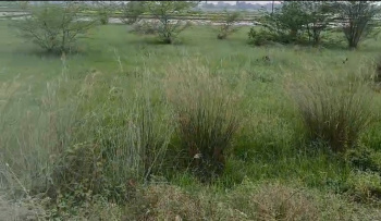 Property for sale in Maduranthakam, Chengalpattu