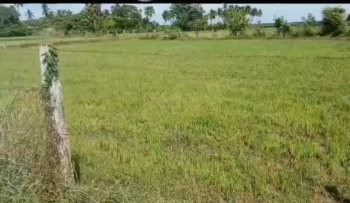 Property for sale in Pulipakkam, Chengalpattu