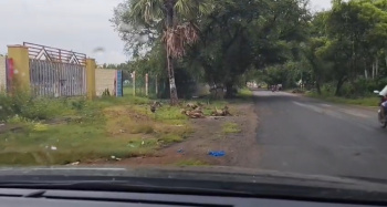 Agricultural/Farm Land for Sale in Cheyyur, Chengalpattu (16 Acre)