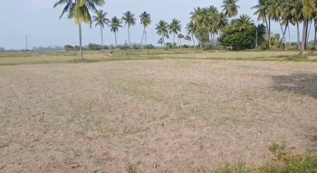 Property for sale in Budur, Chengalpattu