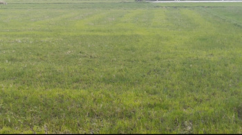 Property for sale in Pulipakkam, Chengalpattu