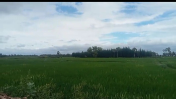 Property for sale in Adi Annamalai, Tiruvannamalai