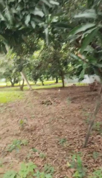 Property for sale in Edaikazhinadu, Kanchipuram