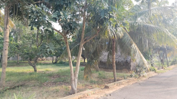 Property for sale in Edaikazhinadu, Kanchipuram