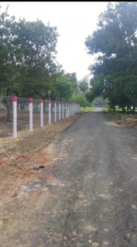 Agricultural/Farm Land for Sale in Edaikazhinadu, Kanchipuram (1.52 Acre)