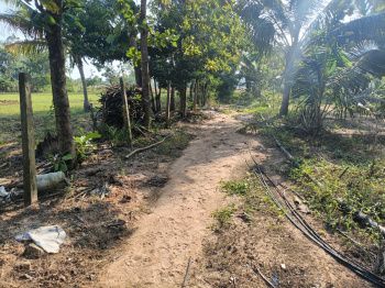 Agricultural/Farm Land for Sale in East Pondy Road, Villupuram (2.66 Acre)