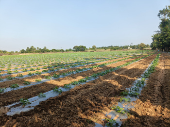 Property for sale in East Pondy Road, Villupuram