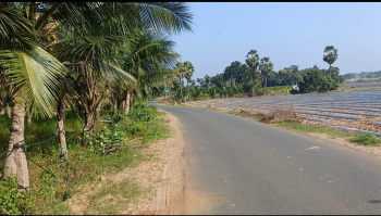 Agricultural/Farm Land for Sale in East Pondy Road, Villupuram (2 Acre)