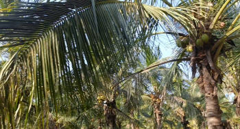 Property for sale in East Pondy Road, Villupuram