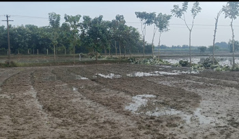 Agricultural/Farm Land for Sale in Maduranthakam, Chengalpattu (5 Acre)