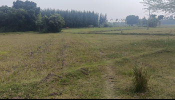 Property for sale in Pulipakkam, Chengalpattu