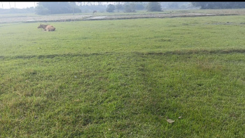 Property for sale in Uthiramerur, Kanchipuram