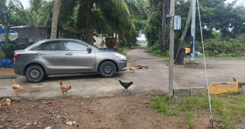 Agricultural/Farm Land for Sale in Koovathur, Kanchipuram (5 Acre)