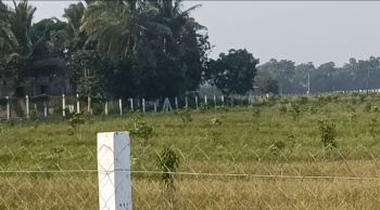 Agricultural/Farm Land for Sale in Koovathur, Kanchipuram (20 Acre)