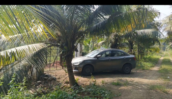 Agricultural/Farm Land for Sale in Cheyyur, Chengalpattu (10 Acre)