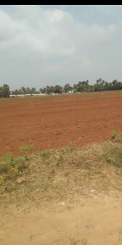 Agricultural/Farm Land for Sale in Cheyyur, Chengalpattu (50 Cent)
