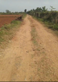 Property for sale in Cheyyur, Chengalpattu