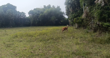 Property for sale in Madurantakam, Kanchipuram