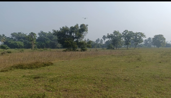 Agricultural/Farm Land for Sale in Koovathur, Kanchipuram (1 Acre)
