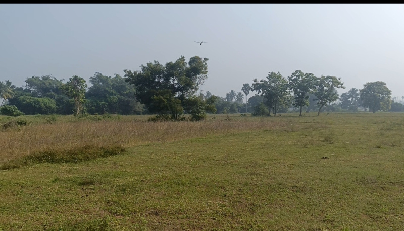 Agricultural/Farm Land for Sale in Koovathur, Kanchipuram (1 Acre)