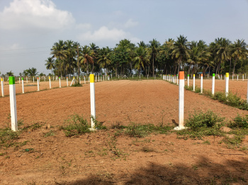 Property for sale in Koovathur, Kanchipuram