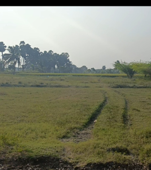 Agricultural/Farm Land for Sale in East Pondy Road, Villupuram (10 Acre)