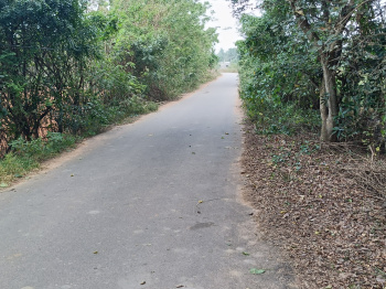 Property for sale in Cheyyur, Chengalpattu