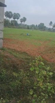 Agricultural/Farm Land for Sale in Cheyyur, Chengalpattu (2.62 Acre)