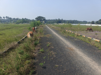 Commercial Lands /Inst. Land for Sale in Koovathur, Kanchipuram (6000 Sq.ft.)