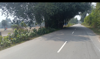 Agricultural/Farm Land for Sale in Cheyyur, Chengalpattu (10 Acre)