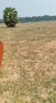 Property for sale in Koovathur, Kanchipuram