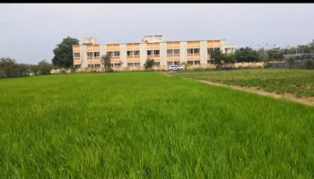 Agricultural/Farm Land for Sale in Anupuram, Chengalpattu (2 Acre)