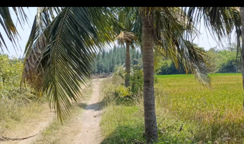 Property for sale in Cheyyur, Chengalpattu