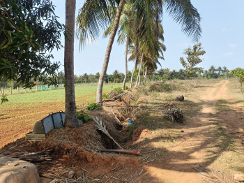 Commercial Lands /Inst. Land for Sale in Thirukalukundram, Kanchipuram (34 Acre)